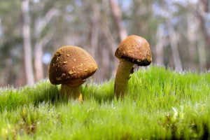 世界举重锦标赛技术裁判委员会换届，世界举重锦标赛技术裁判委员会换届了吗