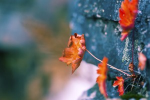世界体操青少年赛：新动作登上舞台，世界体操锦标赛2020